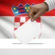 Foto: Livanjski.com / Hrvatska izbori